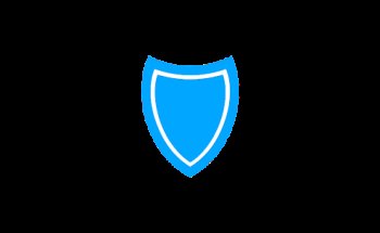 Prodigy Protection & Investigations