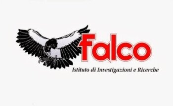 FALCO INVESTIGATORE PRIVATO