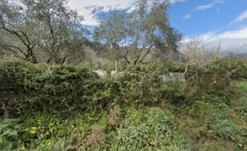 Agenzia Investigativa Di Vidoni Daniela