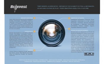 Brinvest Detectives