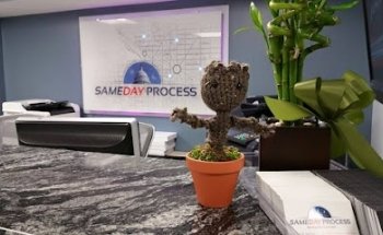Same Day Process
