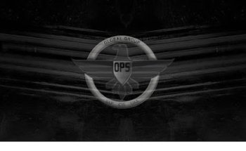 OPS CONSULTING AND INVESTIGATIVE SERVICES, LLC