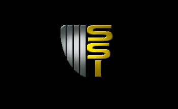 Smart Security Inc