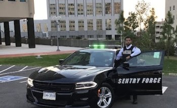 Sentry Force Security