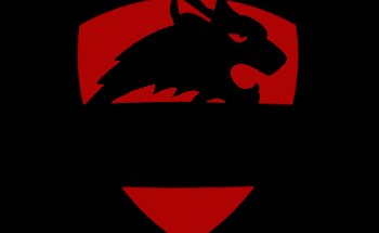 Lynx Security Group