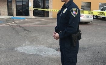 Eagle View Security and Investigation Services Inc