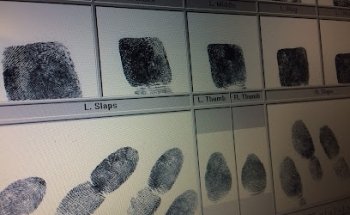 Berkeley Live Scan