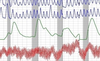 Polygraph and Investigations, LLC.