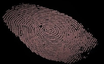 Claims Investigation Agency