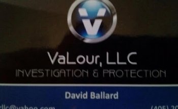 Valour Investigations and Protection LLC