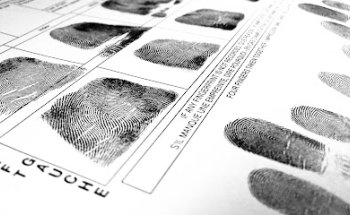 Gotcha! Investigative Service