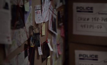 731 Investigations