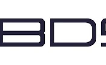 BDSS/ Blanco Detektei Security Service