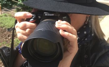 Die Detektivin