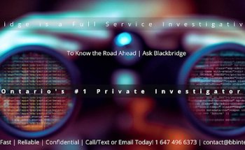 BlackBridge Private Investigator