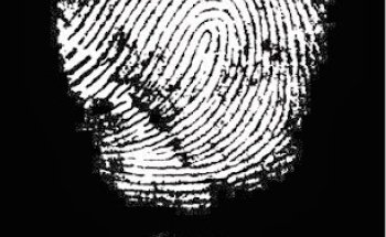 GRUPO D13 Detectives Privados