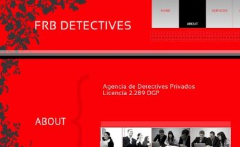 FRB DETECTIVES