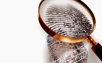 Sting Investigations