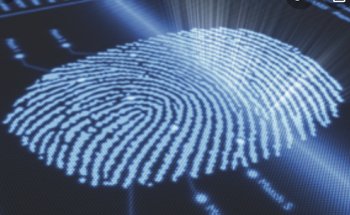 Accurate Answers Investigative Services