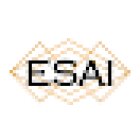 ESAI Detectives