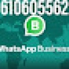 Servicio de seguridad Bolnuevo