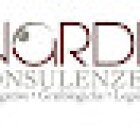 Nardi Investigazioni