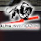 ALPHA INVESTIGAZIONI