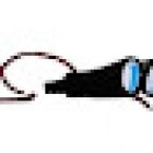 Detective Privato Investigazioni Octopus