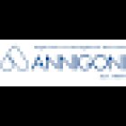 Istituto Privato Investigativo Annigoni S.r.l.