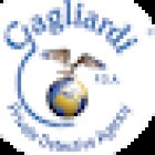 Gagliardi PDA Investigazioni