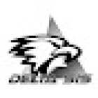 Delta - Security & Intelligence Services