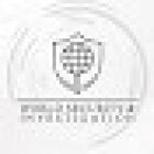 World Security & Investigation - Agenzia Investigativa e sicurezza