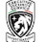 Executive Security Service - Agenzia Investigazioni e Portierato