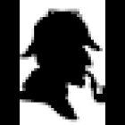 Forcaty Investigation Srl