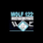 Agenzia Investigativa Wolf 122 Investigatore Privato