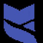 SOLVEST