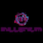 Millenium Investigations