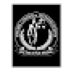 THEMIS CONSEIL ET INVESTIGATIONS