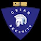 Cesar security services