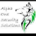Alpha One Security Solutions