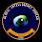 Global Intelligence Bureau