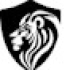Lyonswood Private Investigations