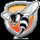 Sting Executive Group International, Inc.