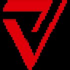 Vex Investigation Inc.