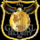 24/7 Global Security Inc