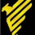 Elite Security Solutions, LLC (ESS)