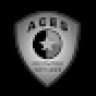 ACES Private Investigations Dallas