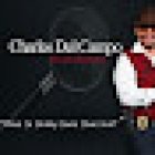 Charles Del Campo & Associates Detective Agency