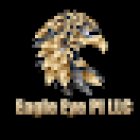Eagle Eye PI LLC
