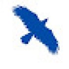 Blue Raven Executive Protection & Security Services
